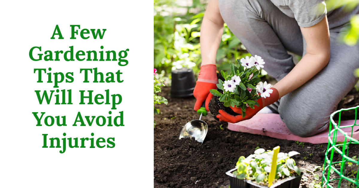 A Few Gardening Tips That Will Help You Avoid Injuries